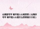 山海皆可平 难平是人心啥意思（山海亦可平 难平是人心是什么意思简介介绍）