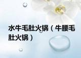 水牛毛肚火锅（牛腰毛肚火锅）
