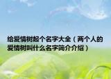给爱情树起个名字大全（两个人的爱情树叫什么名字简介介绍）