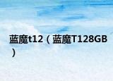 蓝魔t12（蓝魔T128GB）