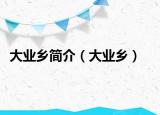 大业乡简介（大业乡）