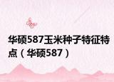 华硕587玉米种子特征特点（华硕587）