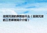 混凝沉淀的原理是什么（混凝沉淀的工艺原理简介介绍）