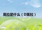 莫拉是什么（D莫拉）