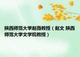 陕西师范大学赵薇教授（赵文 陕西师范大学文学院教授）