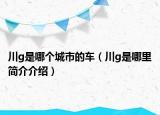 川g是哪个城市的车（川g是哪里简介介绍）