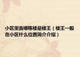 小区里面哪栋楼是楼王（楼王一般在小区什么位置简介介绍）