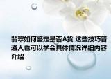 翡翠如何鉴定是否A货 这些技巧普通人也可以学会具体情况详细内容介绍