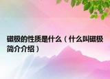 磁极的性质是什么（什么叫磁极简介介绍）