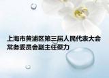 上海市黄浦区第三届人民代表大会常务委员会副主任蔡力