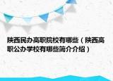 陕西民办高职院校有哪些（陕西高职公办学校有哪些简介介绍）