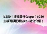 b250主板能装什么cpu（b250主板可以配哪些cpu简介介绍）