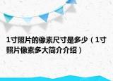 1寸照片的像素尺寸是多少（1寸照片像素多大简介介绍）