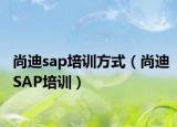 尚迪sap培训方式（尚迪SAP培训）