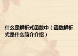 什么是解析式函数中（函数解析式是什么简介介绍）