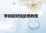 李晓阳财经助理教授