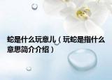 蛇是什么玩意儿（玩蛇是指什么意思简介介绍）