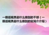 一级巡视员是什么级别的干部（一级巡视员是什么级别的官简介介绍）