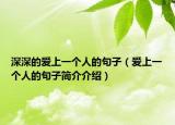 深深的爱上一个人的句子（爱上一个人的句子简介介绍）