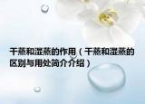 干蒸和湿蒸的作用（干蒸和湿蒸的区别与用处简介介绍）
