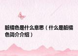 脏橘色是什么意思（什么是脏橘色简介介绍）
