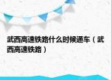武西高速铁路什么时候通车（武西高速铁路）