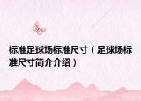 标准足球场标准尺寸（足球场标准尺寸简介介绍）