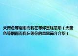 天青色等烟雨而我在等你是啥意思（天晴色等烟雨而我在等你的意思简介介绍）