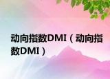 动向指数DMI（动向指数DMI）