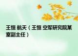 王恒 航天（王恒 空军研究院某室副主任）