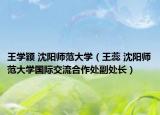王学颖 沈阳师范大学（王蕊 沈阳师范大学国际交流合作处副处长）