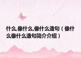什么,像什么,像什么造句（像什么像什么造句简介介绍）