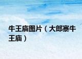牛王庙图片（大郎寨牛王庙）