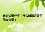 啥叫知识分子（什么叫知识分子简介介绍）