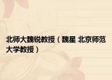 北师大魏锐教授（魏星 北京师范大学教授）