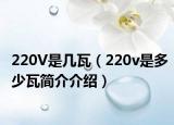 220V是几瓦（220v是多少瓦简介介绍）