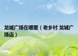 龙城广场在哪里（老乡村 龙城广场店）