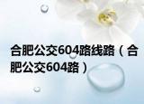 合肥公交604路线路（合肥公交604路）