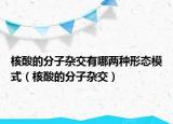 核酸的分子杂交有哪两种形态模式（核酸的分子杂交）