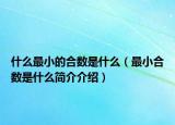 什么最小的合数是什么（最小合数是什么简介介绍）