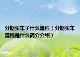 分期买车子什么流程（分期买车流程是什么简介介绍）