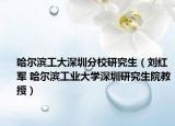 哈尔滨工大深圳分校研究生（刘红军 哈尔滨工业大学深圳研究生院教授）