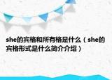 she的宾格和所有格是什么（she的宾格形式是什么简介介绍）