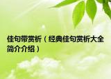 佳句带赏析（经典佳句赏析大全简介介绍）