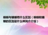 蝈蝈与蛐蛐有什么区别（蝈蝈和蛐蛐的区别是什么啊简介介绍）