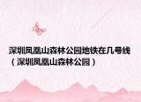 深圳凤凰山森林公园地铁在几号线（深圳凤凰山森林公园）
