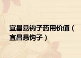 宜昌悬钩子药用价值（宜昌悬钩子）