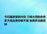 今日最新更新内容 三峡大坝的鱼有多大说出来你都不信 鱼类多达数百种