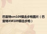 巴雷特xm109狙击步枪图片（巴雷特XM109狙击步枪）