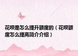 花呗是怎么提升额度的（花呗额度怎么提高简介介绍）